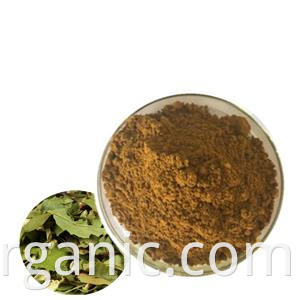 Hawthorn Leaves Extract Powder